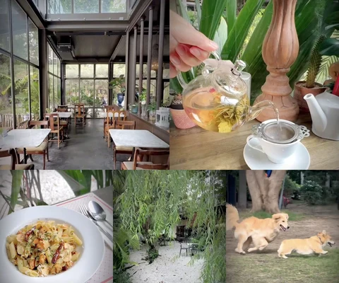ภาพรีวิว Tea Factory & More • สุขุมวิท 39