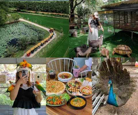 ภาพรีวิว ตามธรรมชาติ Cafe’ and Farm