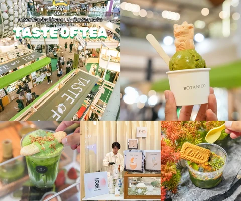 ภาพรีวิว Taste of Tea — Central Ladprao 2567