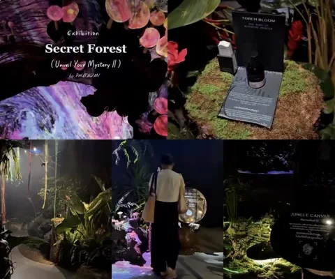 ภาพรีวิว Secret Forest • Unveil Your Mystery II