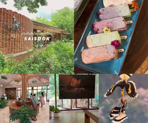 ภาพรีวิว ไทรสุข — Sai Sook Khao Yai
