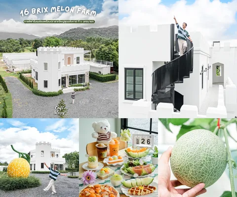 ภาพรีวิว 16 Brix Melon Farm & Cafe