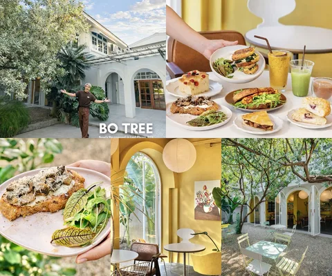 ภาพรีวิว BO TREE