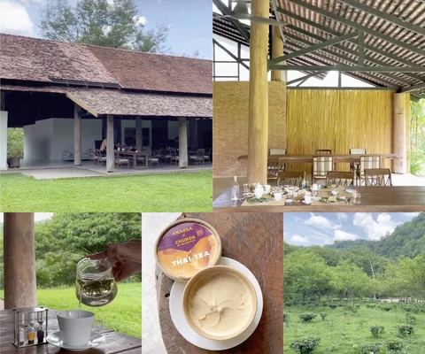 ภาพรีวิว Araksa Tea Garden • แม่แตง