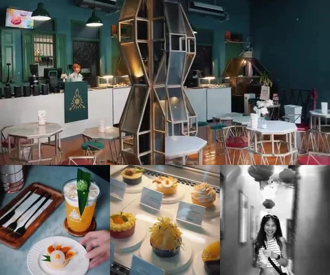 ภาพรีวิว Arteasia — ทรงวาด