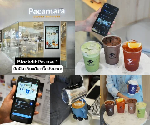 ภาพรีวิว PACAMARA × Blockdit Reserve • แคมเปญ 2566