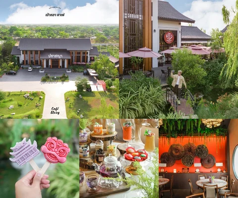 ภาพรีวิว Baoya Cha & Kafei — เป๋าหยา