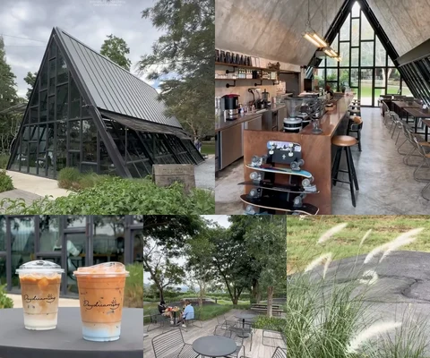 ภาพรีวิว Daydreaming Dayclub • เขาใหญ่