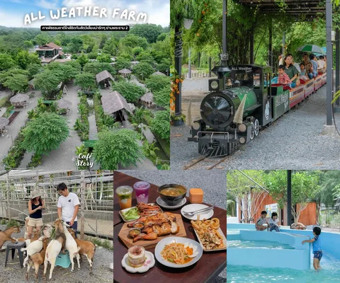 ภาพรีวิว All Weather Farm