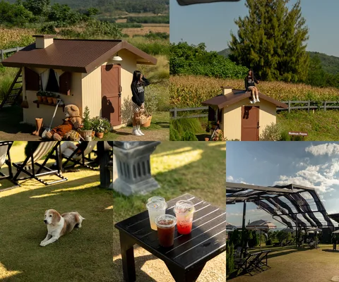 ภาพรีวิว Heaven Garden Khaoyai — คาเฟ่กลางแจ้งกับบ้านจิ๋วและวิวภูเขาเขาใหญ่