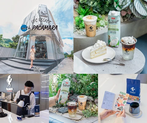 ภาพรีวิว Pacamara × UFC Velvet — Let’s get Coconutty