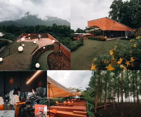 ภาพรีวิว TATA Chiang Dao
