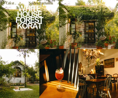 ภาพรีวิว White House Forest Korat — คาเฟ่บ้านสวนกับอาคารสีขาวและพื้นที่ร่มรื่น
