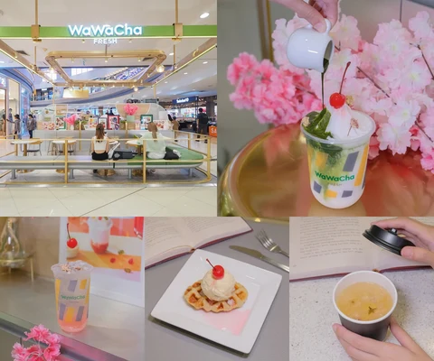 ภาพรีวิว Wawa Cha • เมกาบางนา