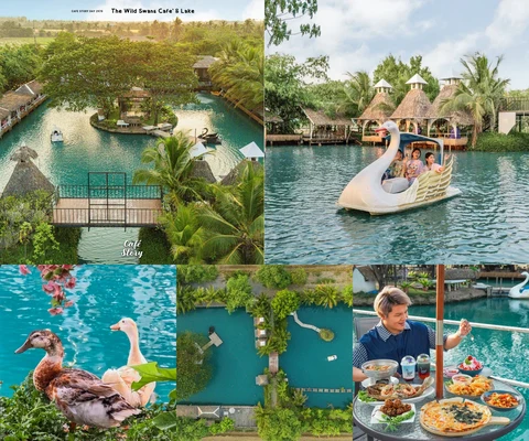 ภาพรีวิว The Wild Swans Café & Lake