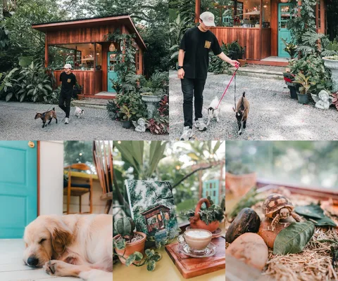 ภาพรีวิว Cafe Delphi