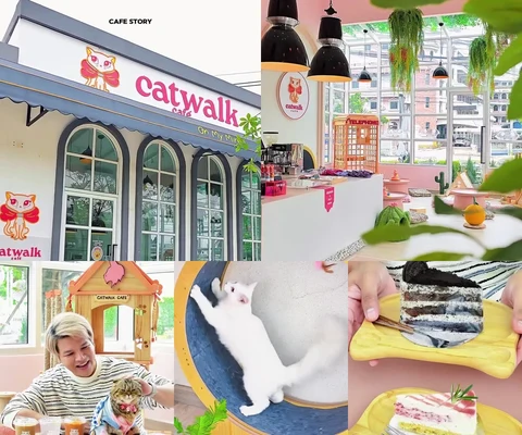 ภาพรีวิว Catwalk Cafe — บางบอน 5