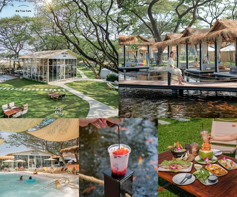 ภาพรีวิว The Big Tree Café — ท่าอิฐ