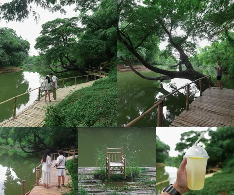 ภาพรีวิว วังดอกไม้ คาเฟ่ — คาเฟ่ริมน้ำกับทางเดินไม้ไผ่ใต้ต้นไม้ใหญ่