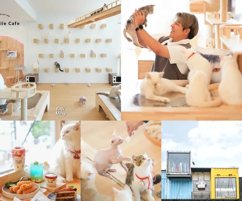 ภาพรีวิว Catsmile Cafe • BOX SPACE รัชโยธิน