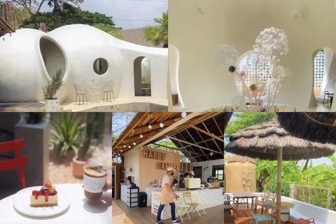 ภาพรีวิว Happy Camper