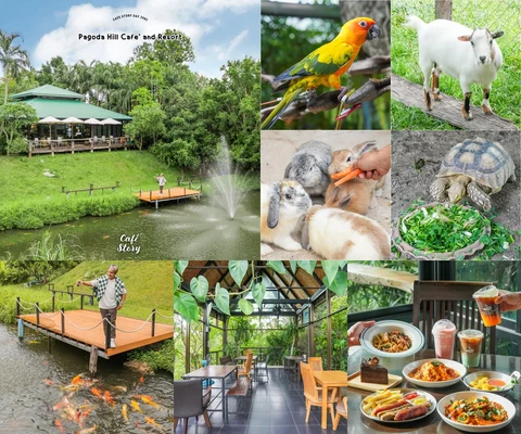 ภาพรีวิว Pagoda Hill Cafe & Resort — ชลบุรี