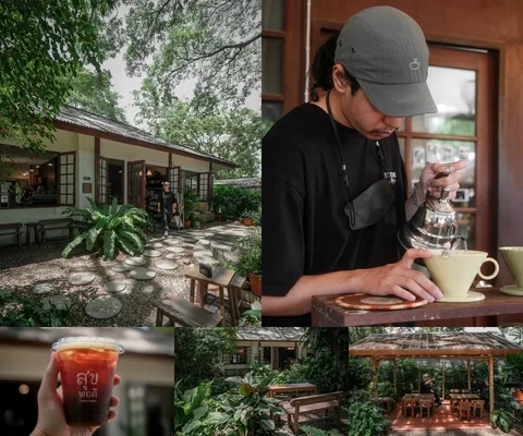 ภาพรีวิว สุขพอดี • Simply Happy — คาเฟ่ใต้ต้นไม้ใหญ่กับกาแฟดริปและมุมหนังสือในเชียงใหม่