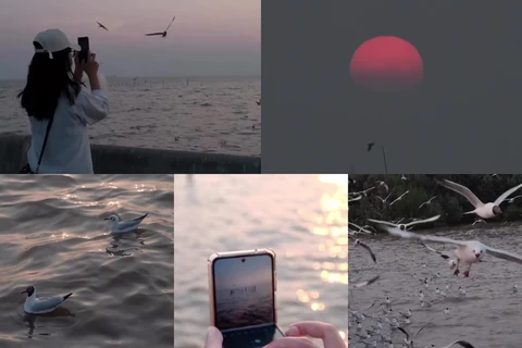 ภาพรีวิว จุดชมนกนางนวล