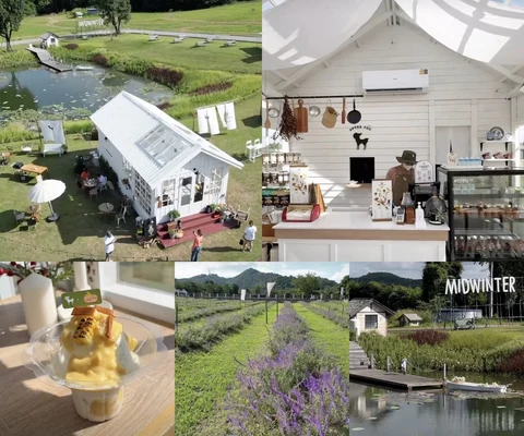 ภาพรีวิว After You Farm House • เขาใหญ่ 2566
