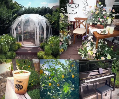 ภาพรีวิว Oakland Cafe — พุทธมณฑลสาย 1