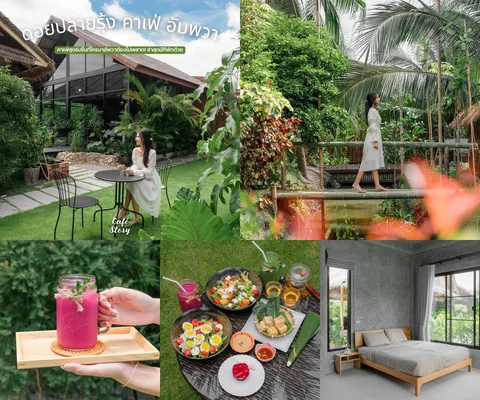 ภาพรีวิว ดอยปลายรุ้ง คาเฟ่ อัมพวา