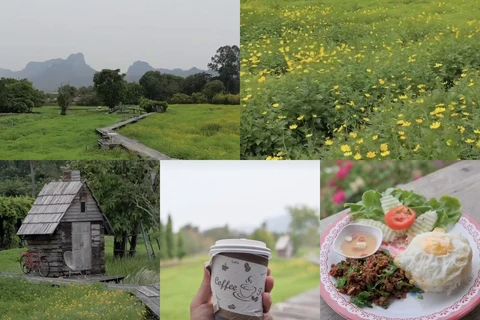 ภาพรีวิว กระเพรา & Coffee