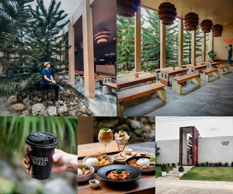 ภาพรีวิว Copper Wood