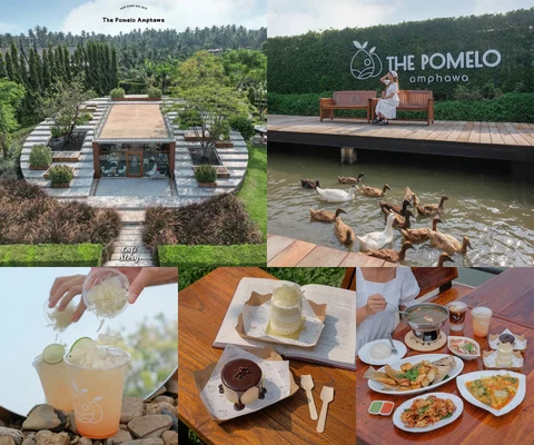 ภาพรีวิว The Pomelo Amphawa • ครัวส้มโอหวาน