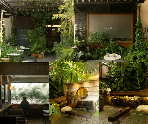 ภาพรีวิว Nordlys Coffee • เมืองทองธานี — คาเฟ่และพื้นที่ทำงานในเมืองทองธานีที่มีต้นไม้แทรกในอาคาร