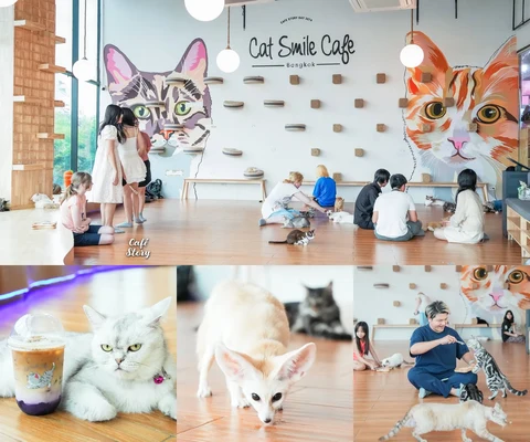 ภาพรีวิว Cat Smile Cafe — Mixt จตุจักร