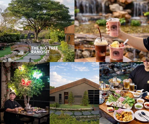 ภาพรีวิว The Big Tree • รังสิต