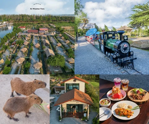 ภาพรีวิว All Weather Farm — เทียนทะเล