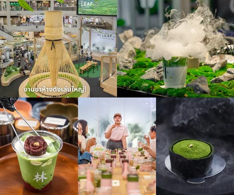 ภาพรีวิว The Leafscape Crafted by Tea