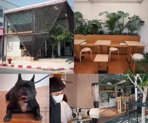 ภาพรีวิว Early BKK — สัมมากร