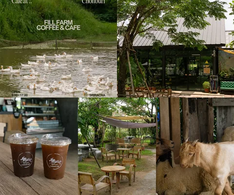 ภาพรีวิว Fill Farm Coffee & Cafe • บางพระ — คาเฟ่ริมบ่อน้ำและกิจกรรมฟาร์มในบางพระ