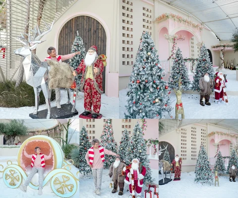 ภาพรีวิว Cactaceae Cafe • Christmas Fairy Tales 2566