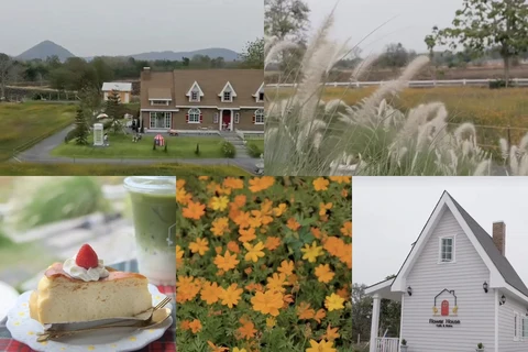 ภาพรีวิว Flower House Cafe
