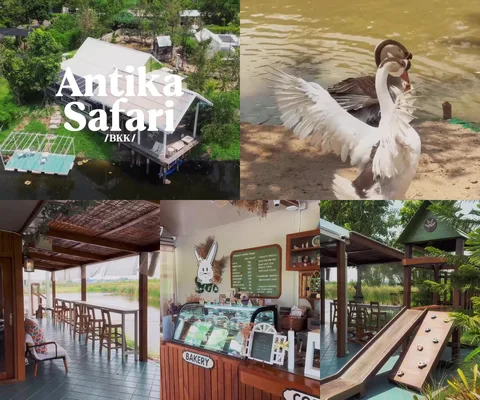 ภาพรีวิว Antika Safari — คาเฟ่บ้านสวนริมบ่อน้ำในคลองสามวา