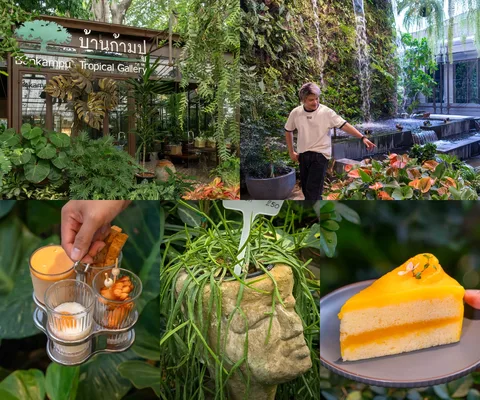 ภาพรีวิว บ้านก้ามปู Tropical Gallery & Café