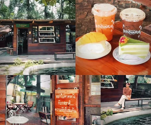 ภาพรีวิว โรงคั่วกาแฟ ท่าวังหลัง • ปทุมธานี — เรือนไม้และมุมกาแฟใต้ร่มไม้ใหญ่