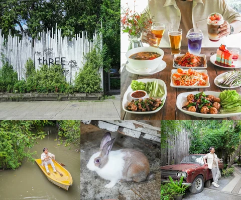 ภาพรีวิว The Three Little Pigs • สามพราน
