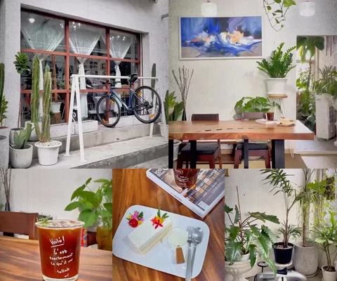 ภาพรีวิว Masonia Tree & Coffee • ตลาดพลู