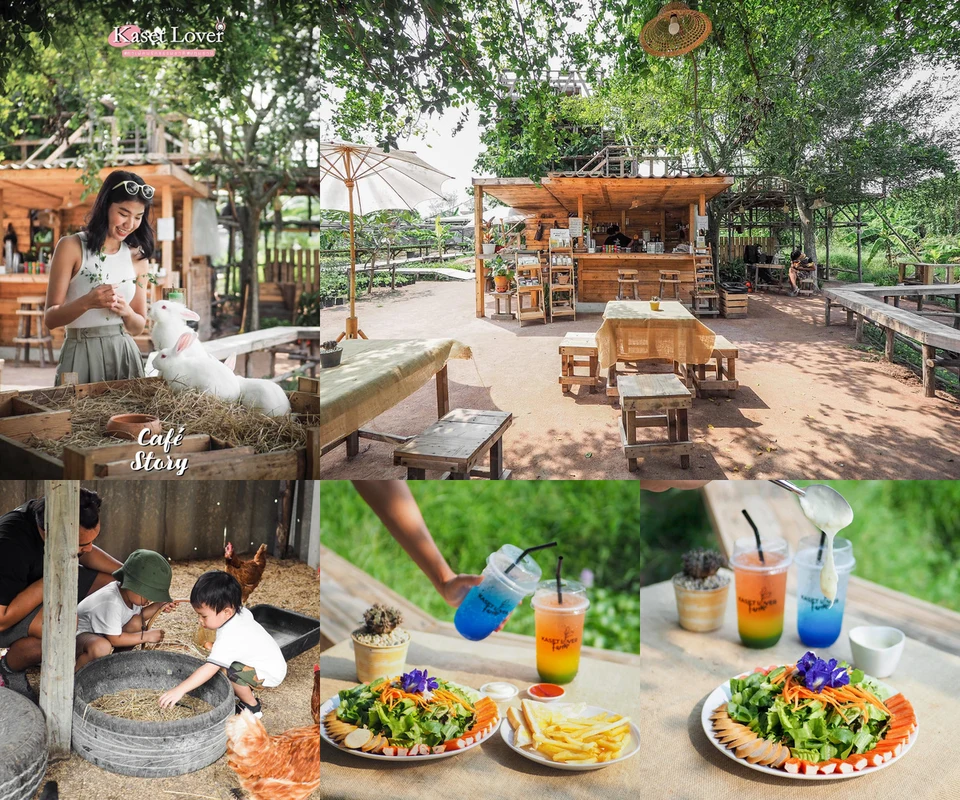 รีวิว Kaset Lover Farm โดย Cafe Story