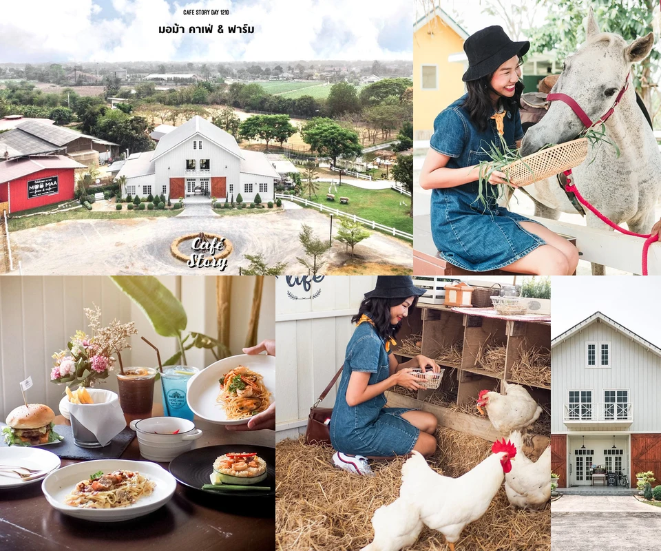 รีวิว มอม้า ฟาร์ม & คาเฟ่ โดย Cafe Story